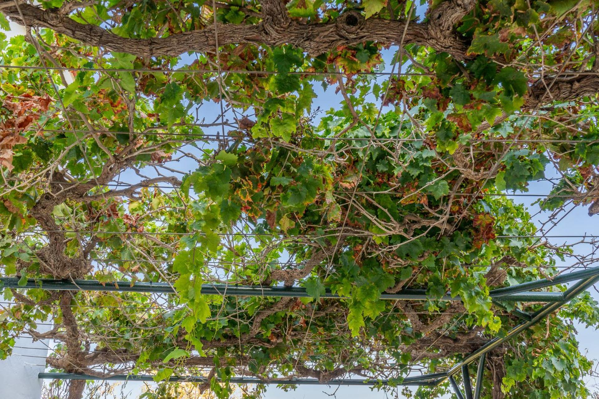 Paredones III Casa Rural Caminito Del Rey Álora Exterior foto
